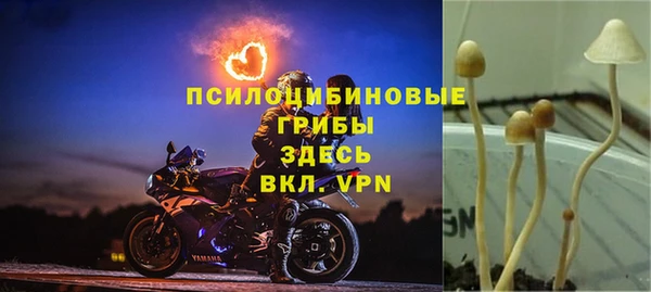 метадон Балабаново