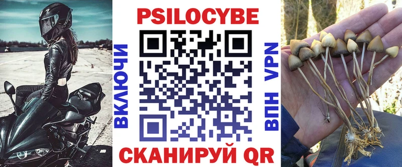 Купить где  Мамадыш  Галлюциногенные грибы Psilocybine cubensis 